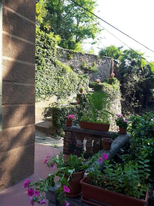 Villa Raoul Arona Exterior foto