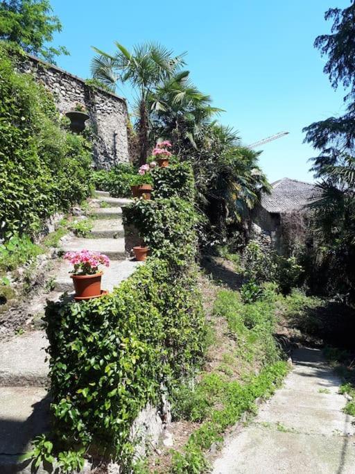 Villa Raoul Arona Exterior foto